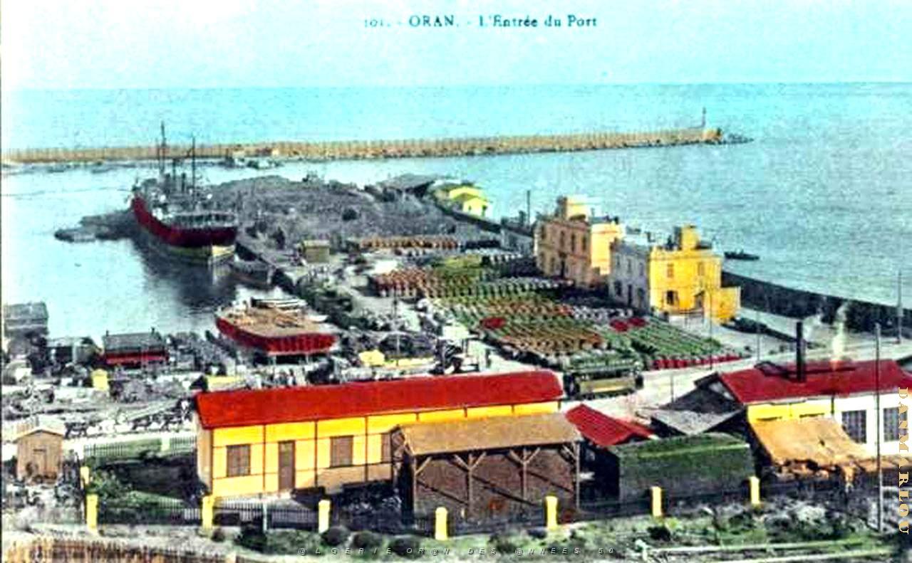 PO e- 081.jpg